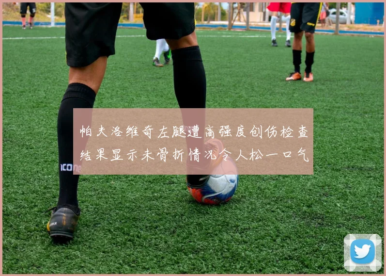 帕夫洛维奇左腿遭高强度创伤检查结果显示未骨折情况令人松一口气