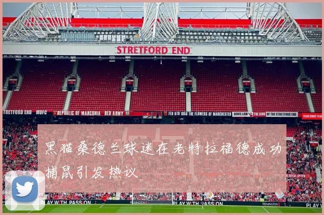 黑猫桑德兰球迷在老特拉福德成功捕鼠引发热议