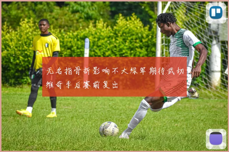 无名指骨折影响不大绿军期待武切维奇季后赛前复出