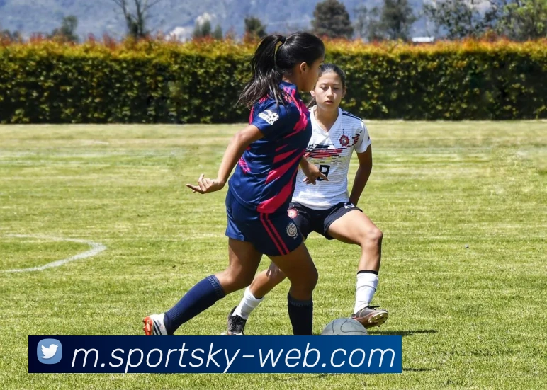 开元棋牌平台生态图